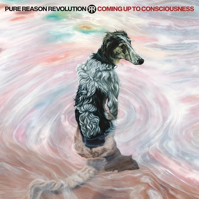 Vinile Pure Reason Revolution - Coming Up To Consciousness