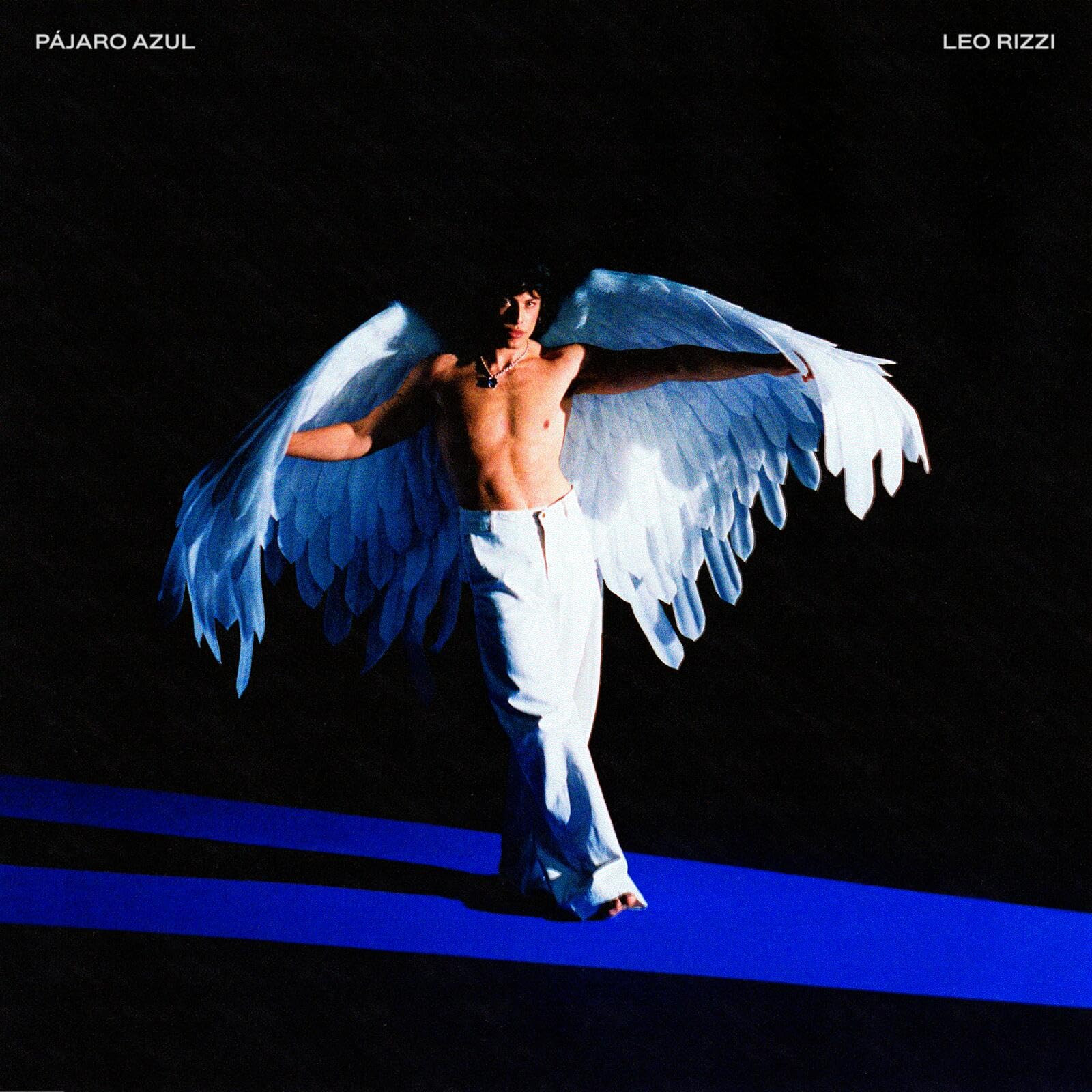 Leo Rizzi Pajaro Azul (Vinyl LP)