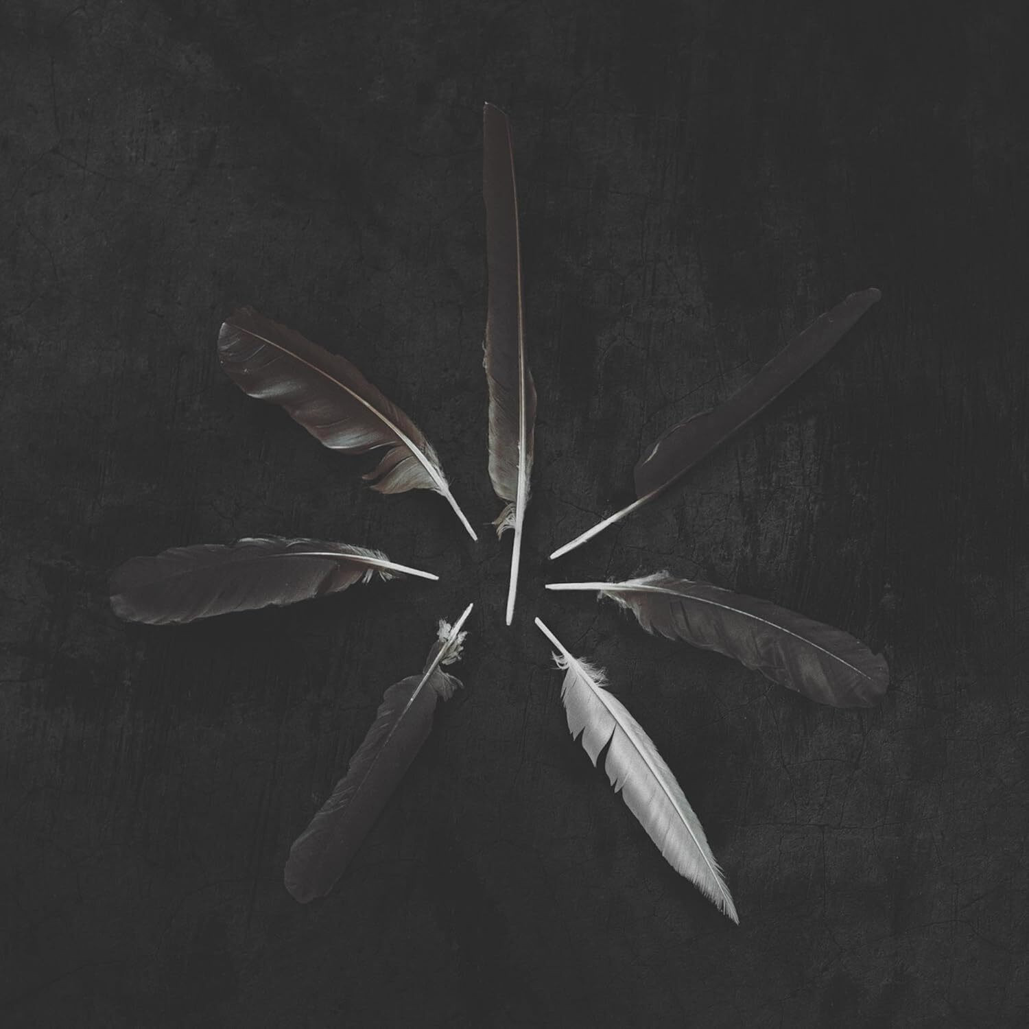 Caspian Dust and Disquiet (Vinyl LP) 12" Album Coloured Vinyl