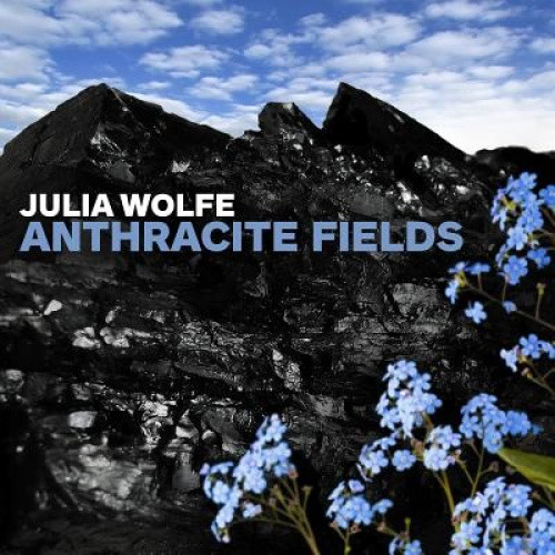 Anthracite Fields by WOLFE,JULIA