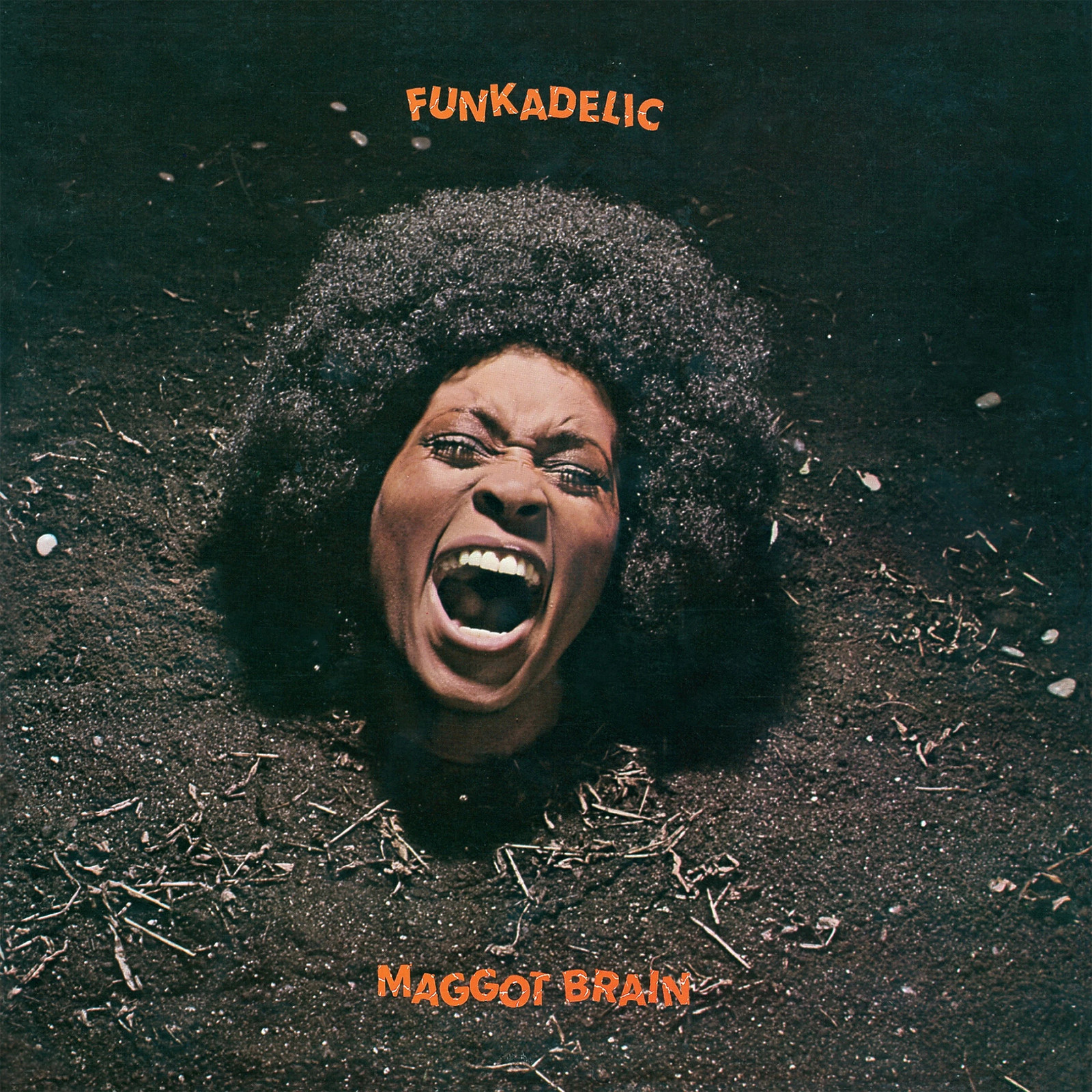 Funkadelic Maggot Brain (Vinyl LP) 50th Anniversary  12" Album