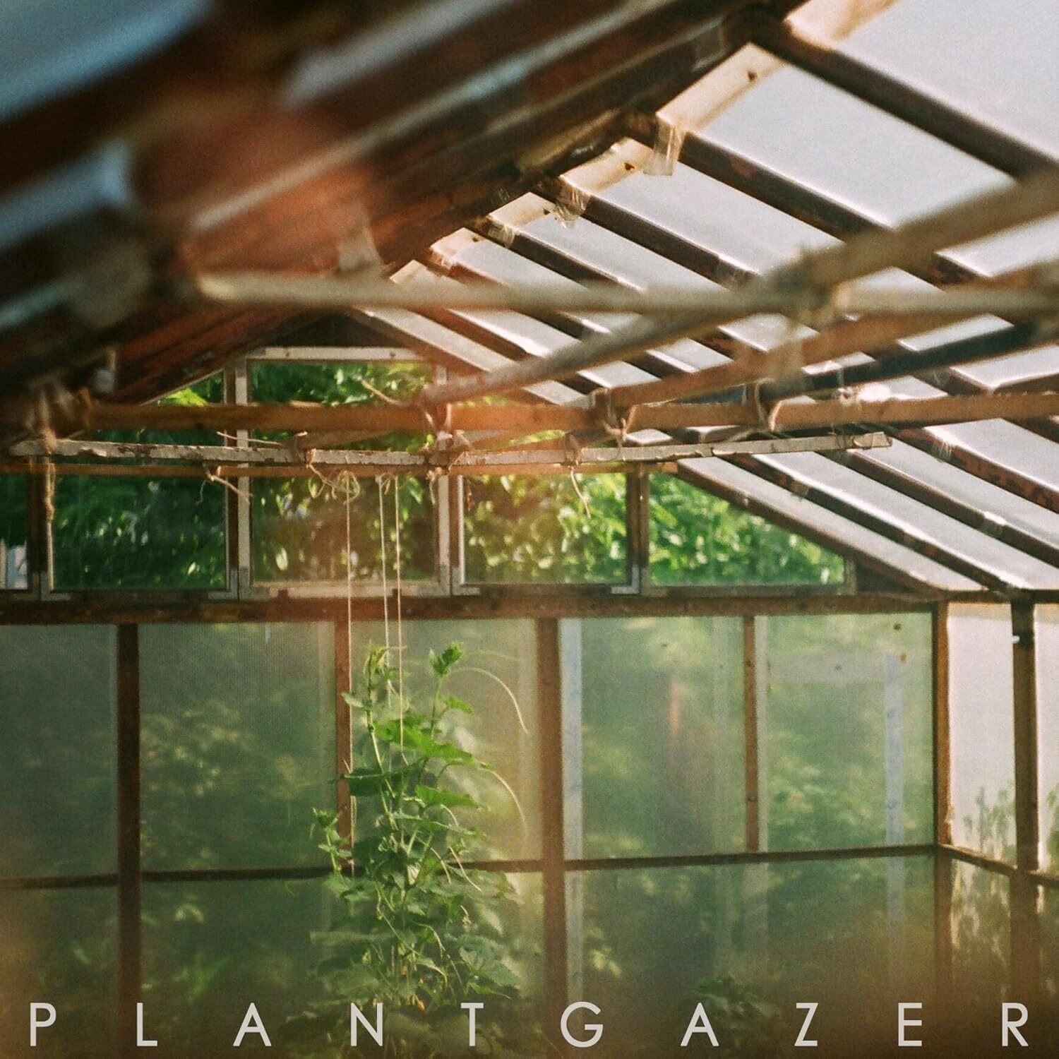 Show Me a Dinosaur Plantgazer (Vinyl LP) 12" Album