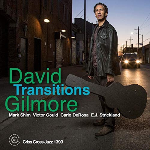Transitions by GILMORE,DAVID