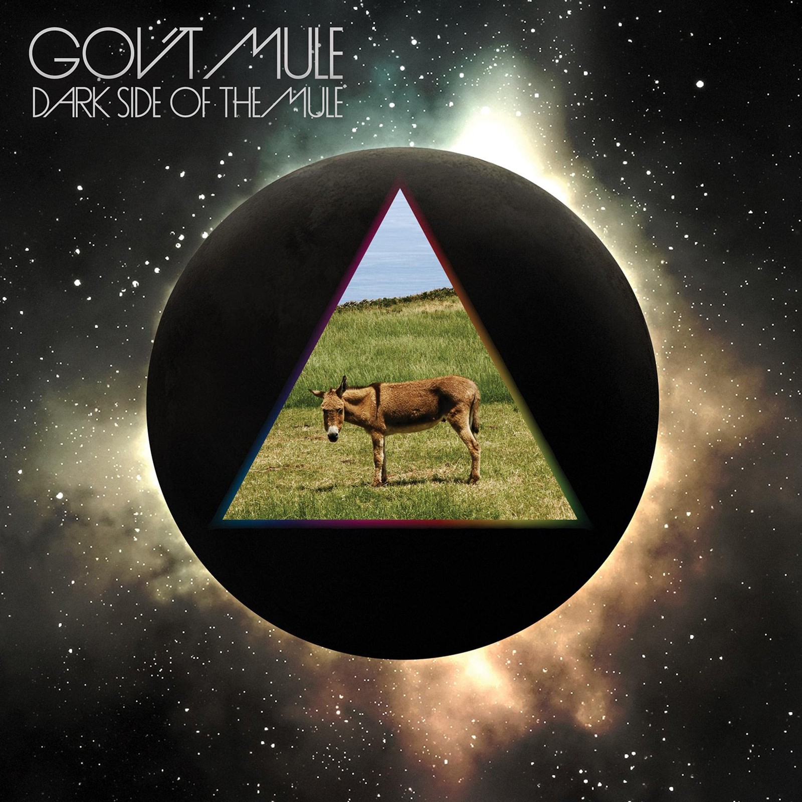 Gov't Mule Dark Side of the Mule (CD)