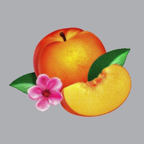 Phoenix - Bankrupt - Cd