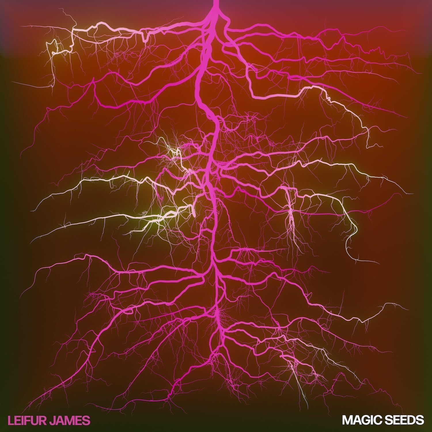 Vinile Nuovo - Leifur James - Magic Seeds  - Night Time Stories