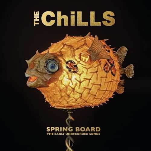 Audio Cd Nuovo - Chills - Spring Board: The Earlyunrecorded Songs  - Fire Record