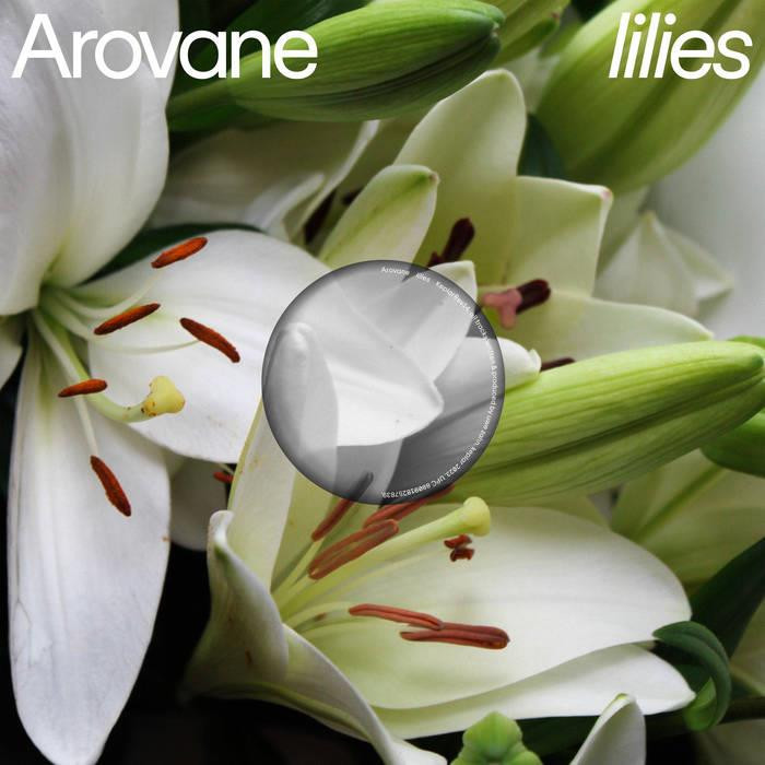 0880918257839 Vinile Lilies - Arovane