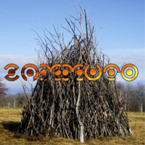 Zammuto Zammuto (Vinyl LP) 12" Album