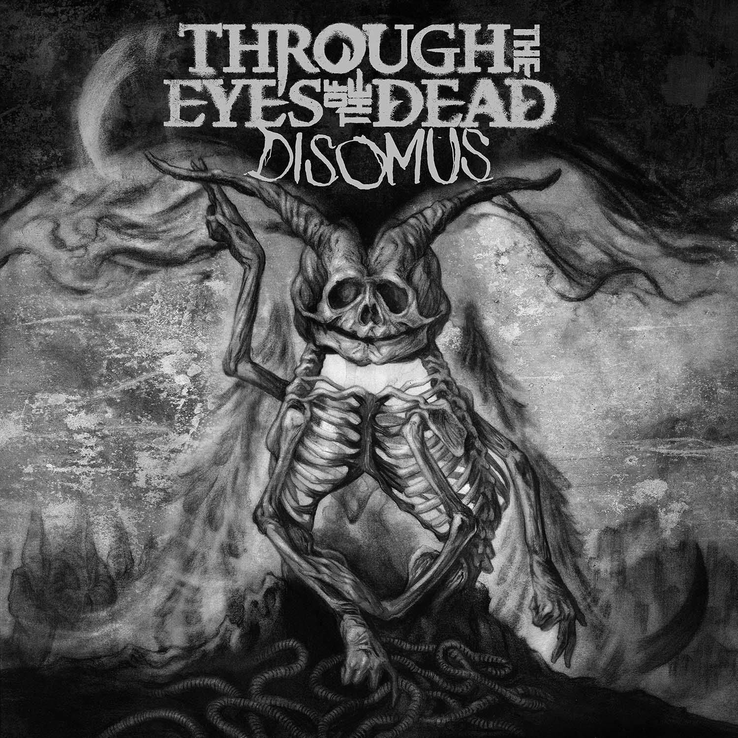 Audio Cd Through The Eyes Of - Disomus