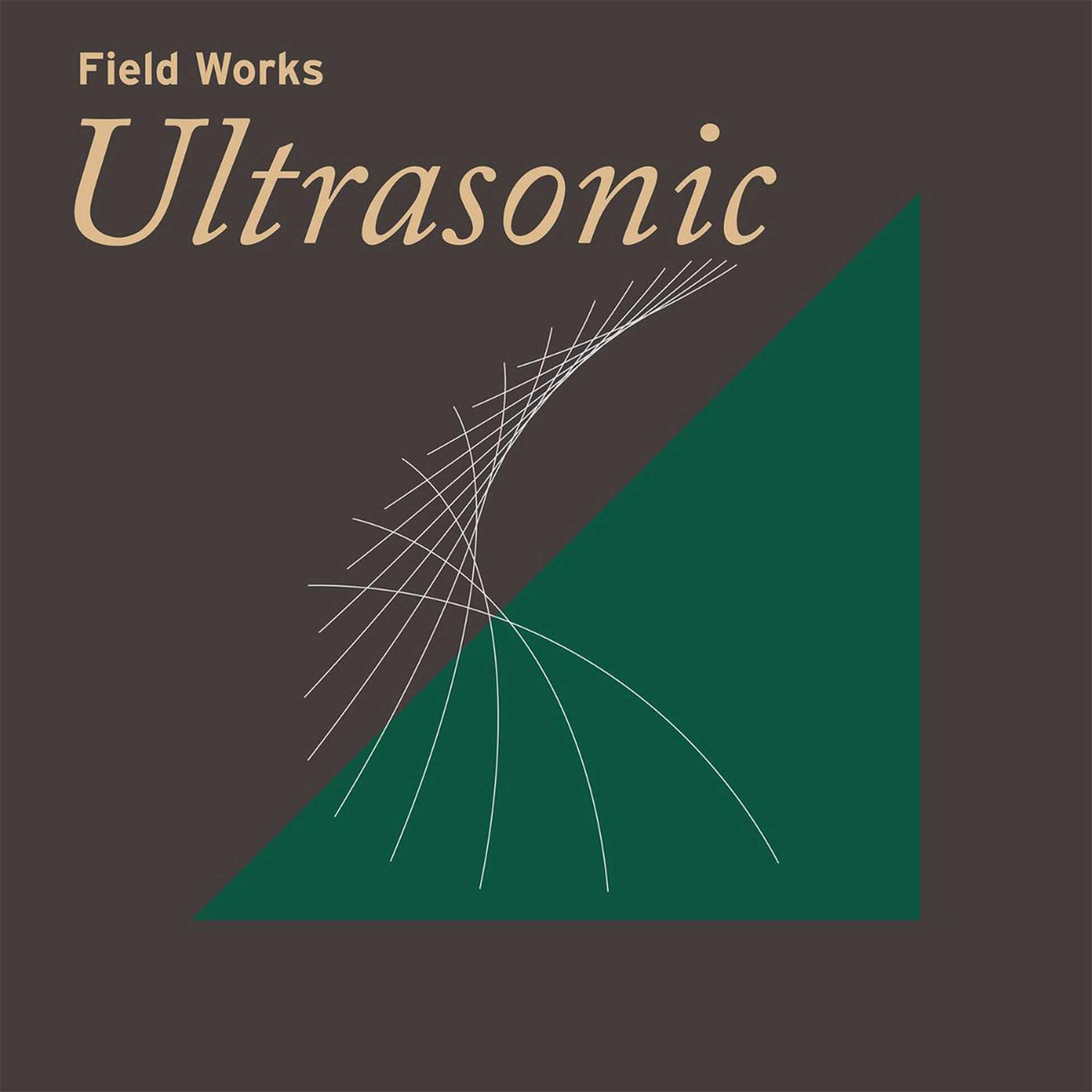 Field Works Ultrasonic Double LP Vinile TRR342LP NUOVO