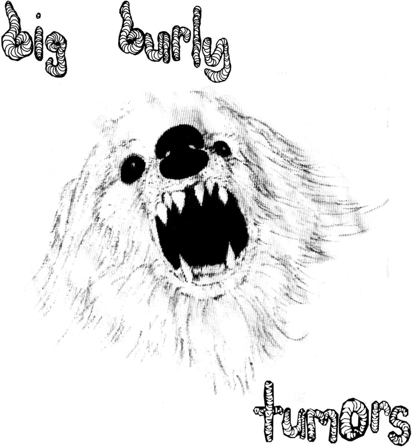 Big Burly Tumors (Vinyl LP) 7" Single (PRESALE 04/04/2025)