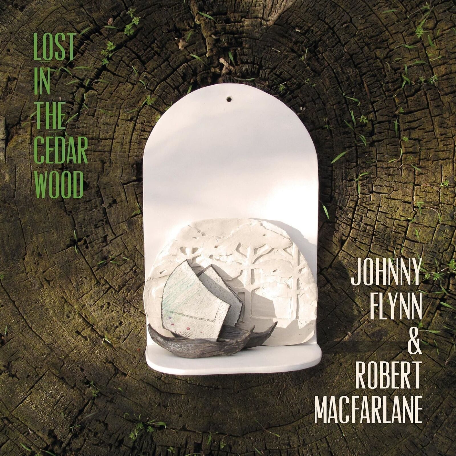 Vinile Johnny Flynn - Lost In The Cedar Wood