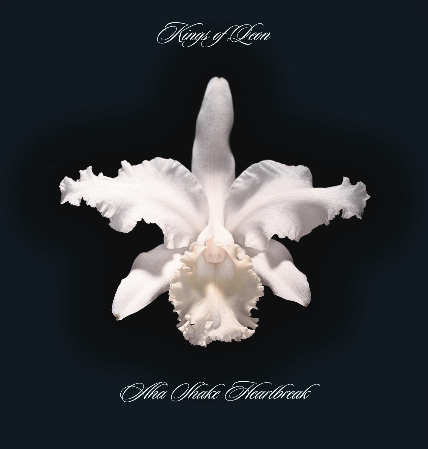 Kings of Leon Aha Shake Heartbreak (Vinyl LP)