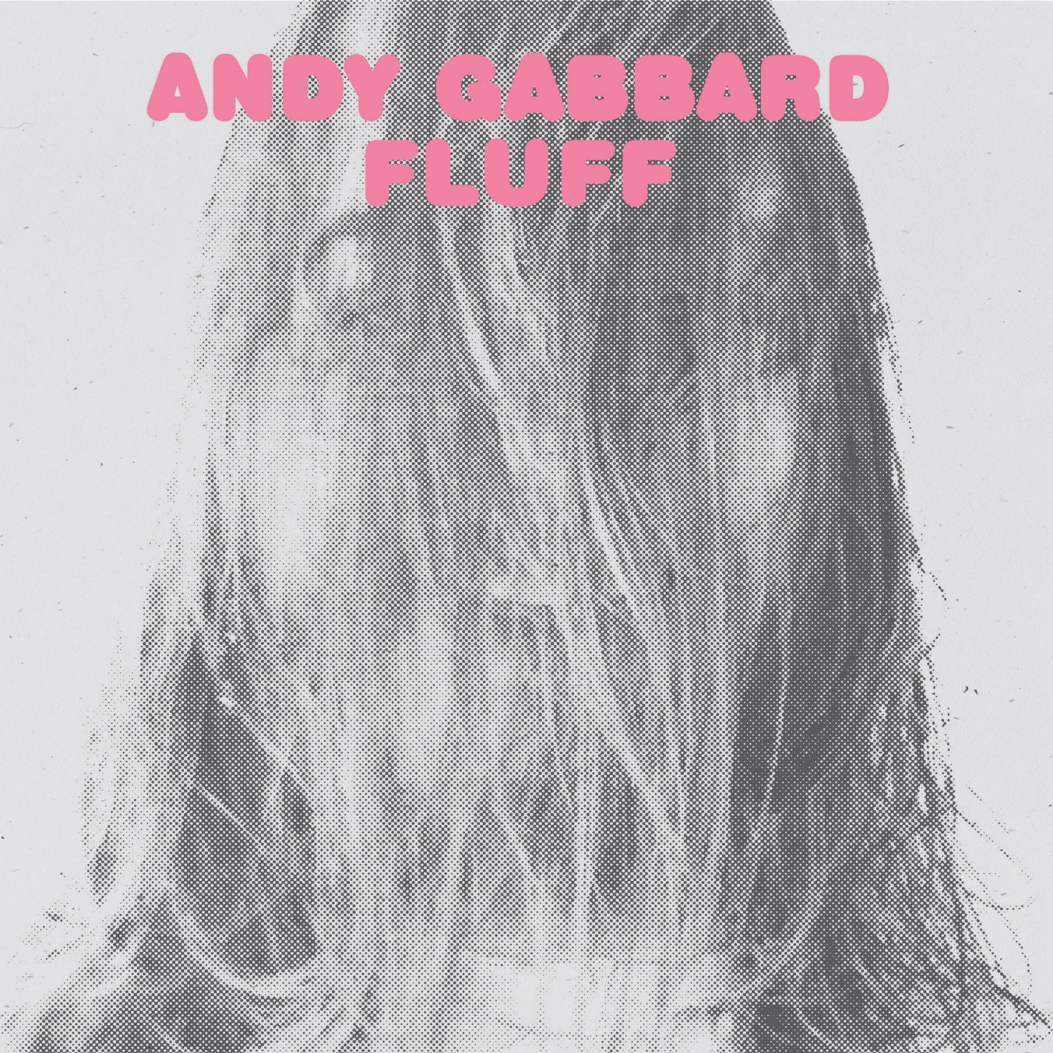 Andy Gabbard Fluff (Vinyl LP) 12" Album