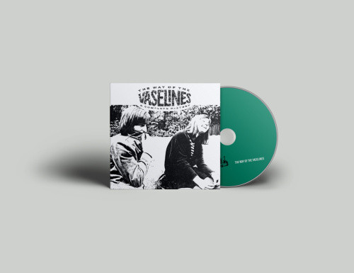 The Way of the Vaselines: A Complete History by The Vaselines