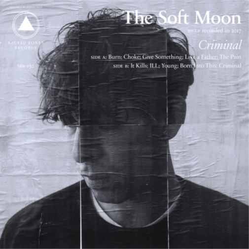The Soft Moon Criminal (Vinyl LP) 12" Album