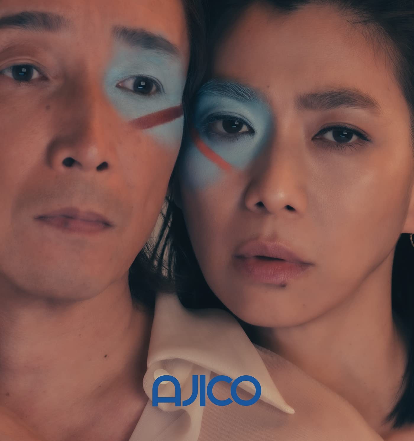 Ajico Connection Analog Analog (Vinyl LP)