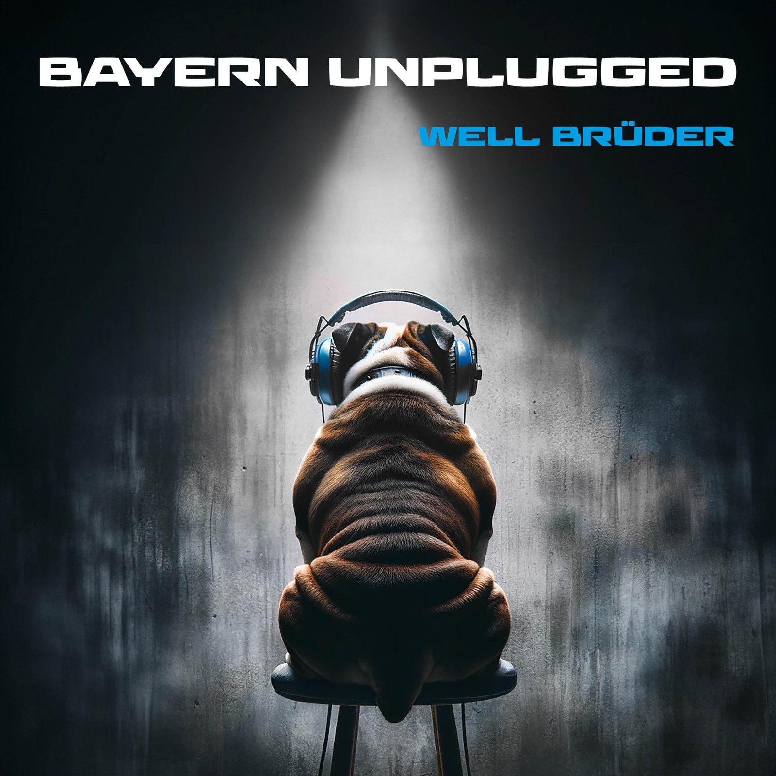 Well-Brüder Bayern Unplugged (CD)