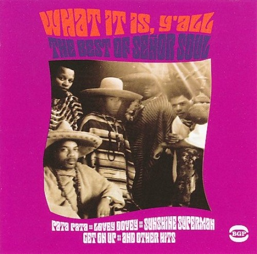 What It Is Y'All: The Best of Senor Soul by Senor Soul