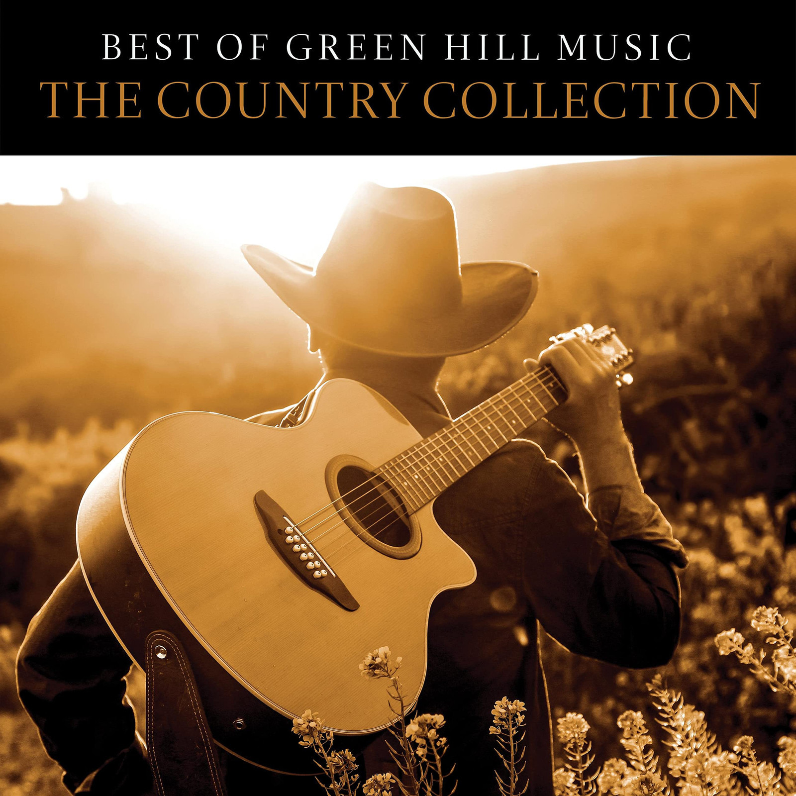 Various Artists Best Of Green Hill Music: The Country Collection (CD)