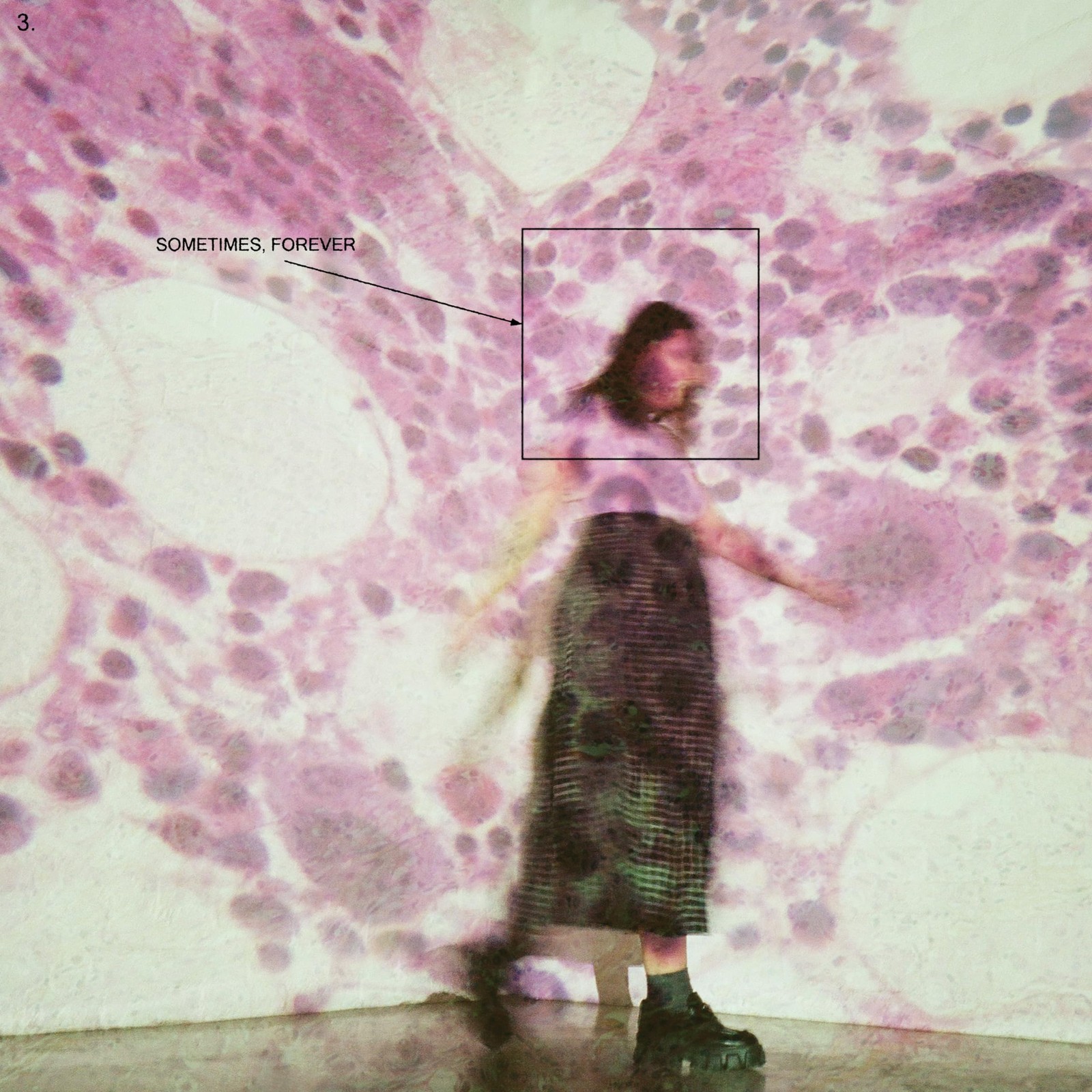 Soccer Mommy Sometimes, Forever (Vinyl LP)