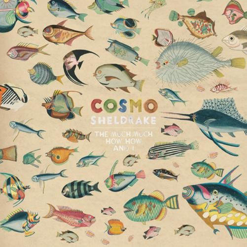 Cosmo Sheldrake The Much Much How How and I (Vinyl LP) 12" Album