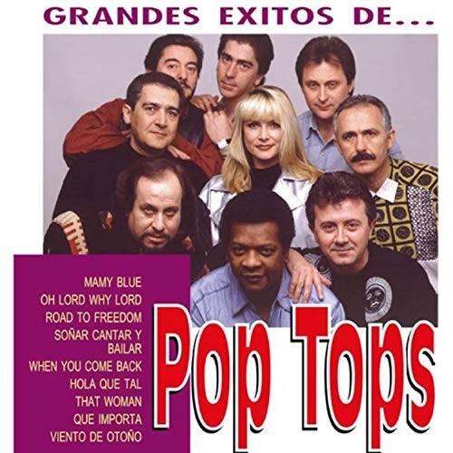 LOS GRANDES EXISTOS DE POP TOPS