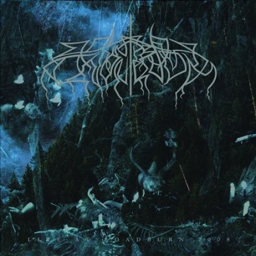 Live at Roadburn 2008 by Wolves in the Throne Room