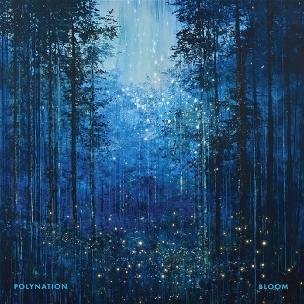 Polynation - Bloom - Transparent Blue Vinyl - AA.VV. (Vinile)