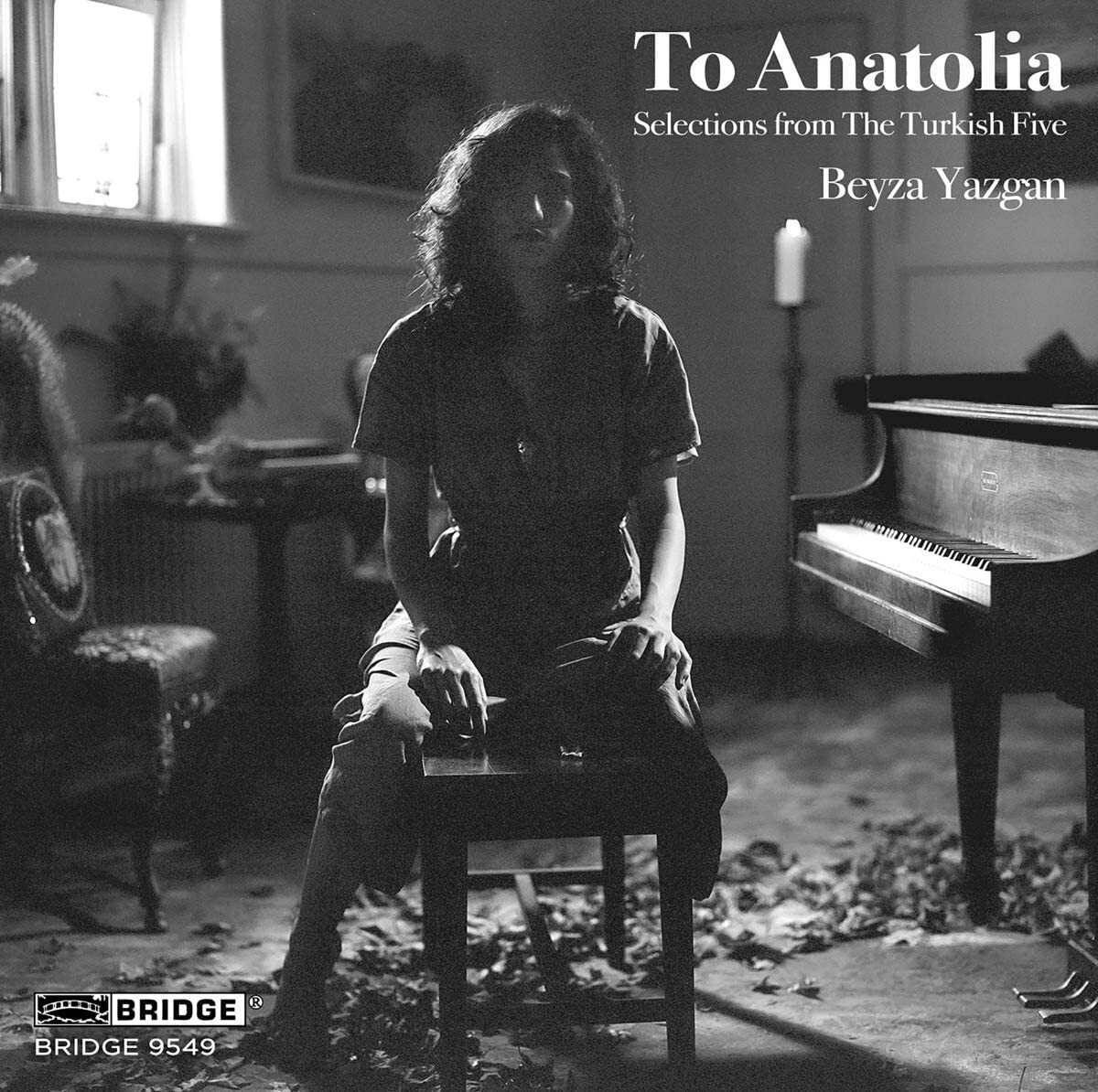 Ahmet Adnan Sayg Beyza Yazgan: To Anatolia: Selections from the Turkish Fi (CD)