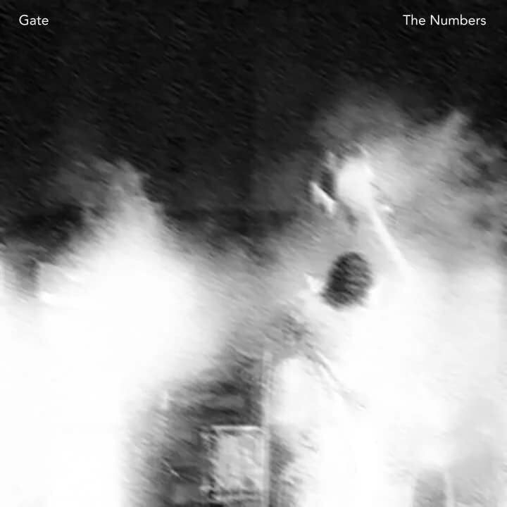 Gate The Numbers (Vinyl LP) 12" Album