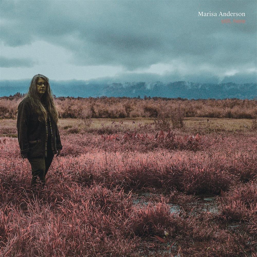 Still Here (Indie Exclusie Sea Glass Vinyl) - Anderson Marisa (Vinile)