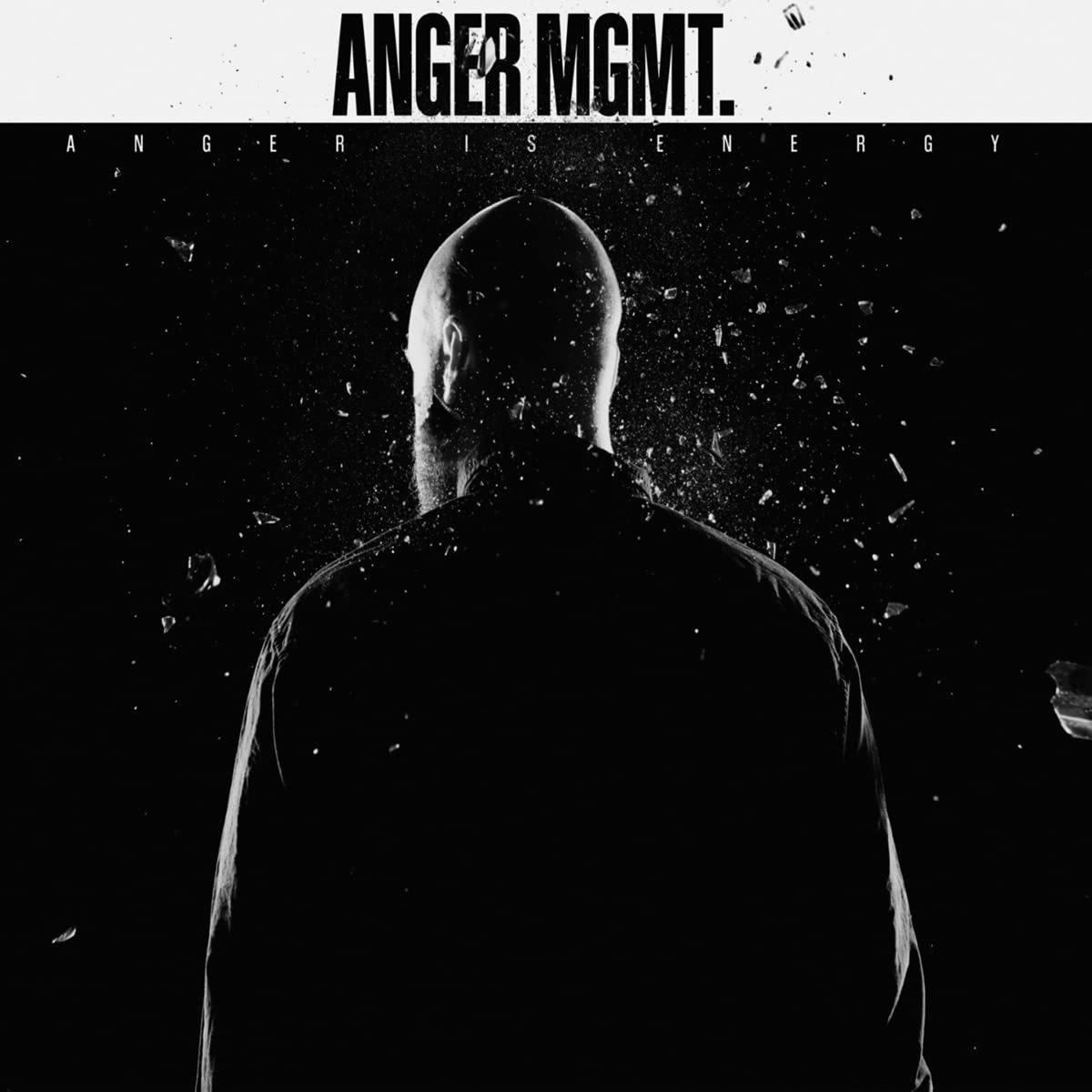 Anger Mgmt Anger Is Energy (Vinyl LP)