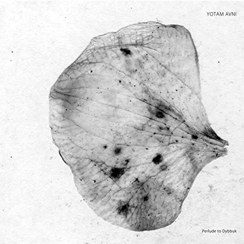 Yotam Avni Prelude To Dybbuk 12 Inch Vinyl SA032 Nuovo