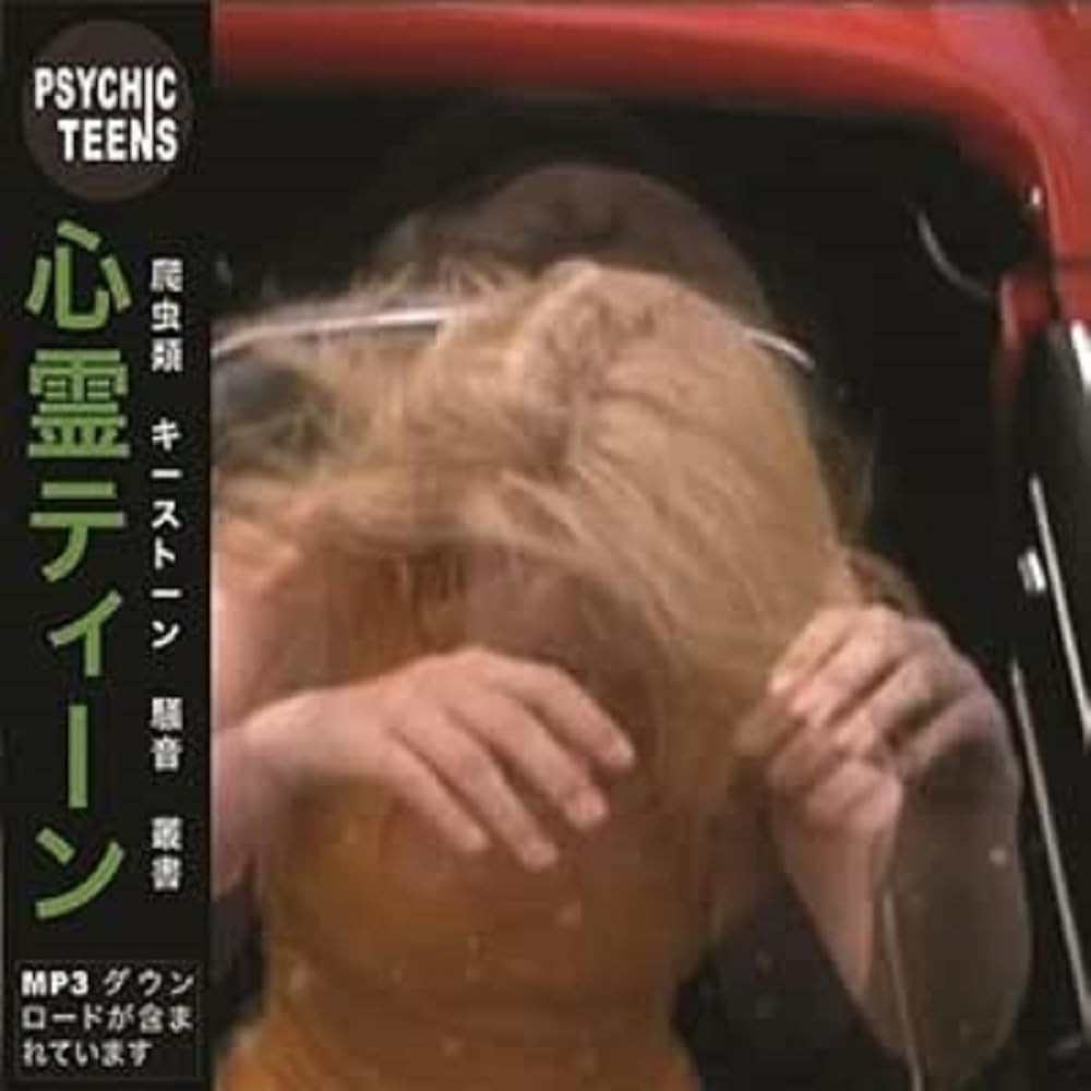 PSYCHIC TEENS Face / All (Vinyl LP)