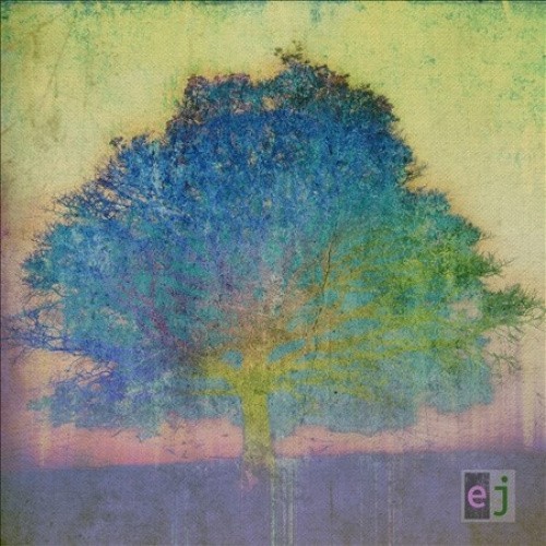 EJ by Eric Johnson