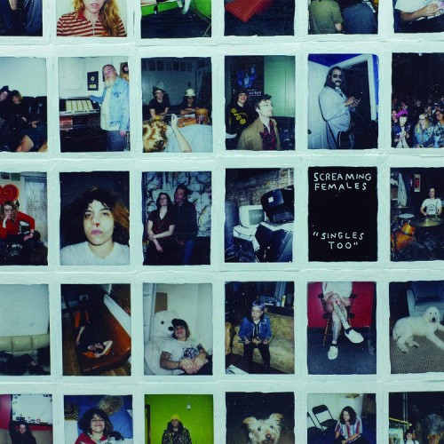 Singles Too by Screaming Females