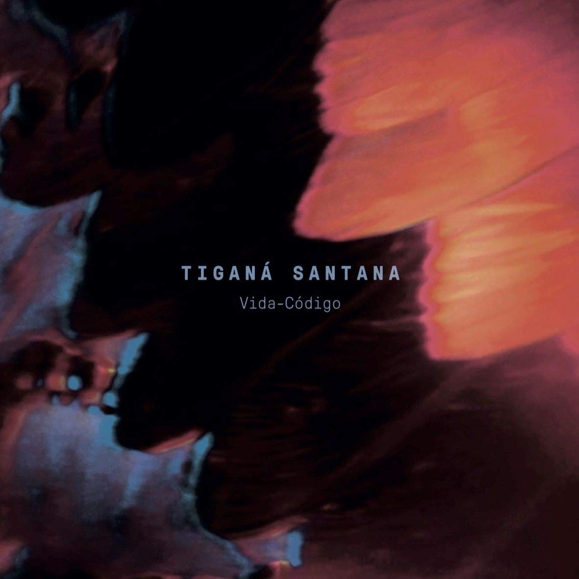 Tigana Santana Vida-C igo (CD)