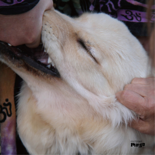 Christina Fennesz & Jim O'Rourke It's Hard for Me to Say I'm Sorry (Vinyl LP)