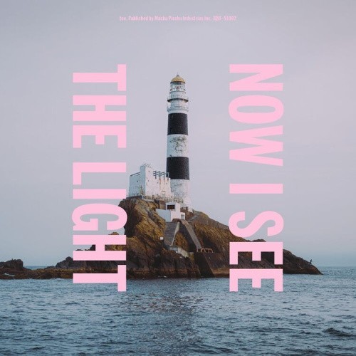 NOW I SEE THE LIGHT (PINK & TAN A/B VINYL) by toe