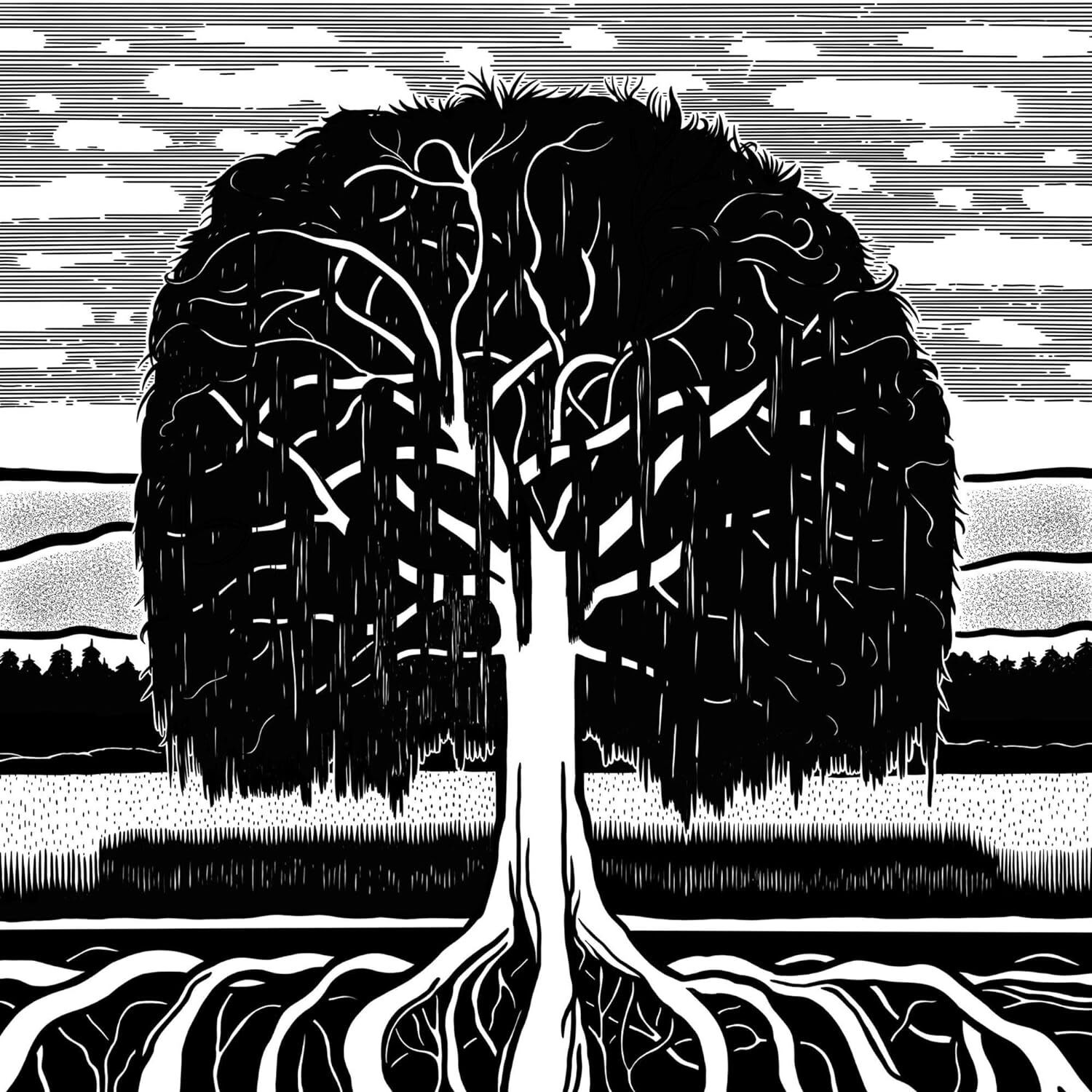 Dan Owen The Willow Tree (CD) Album