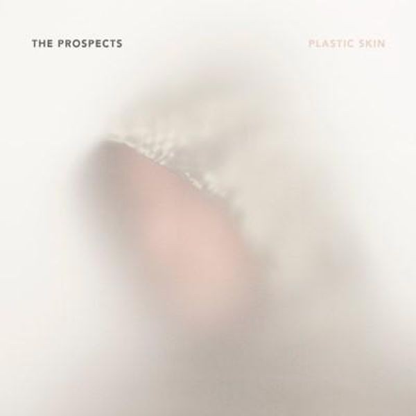 The Prospects Plastic Skin