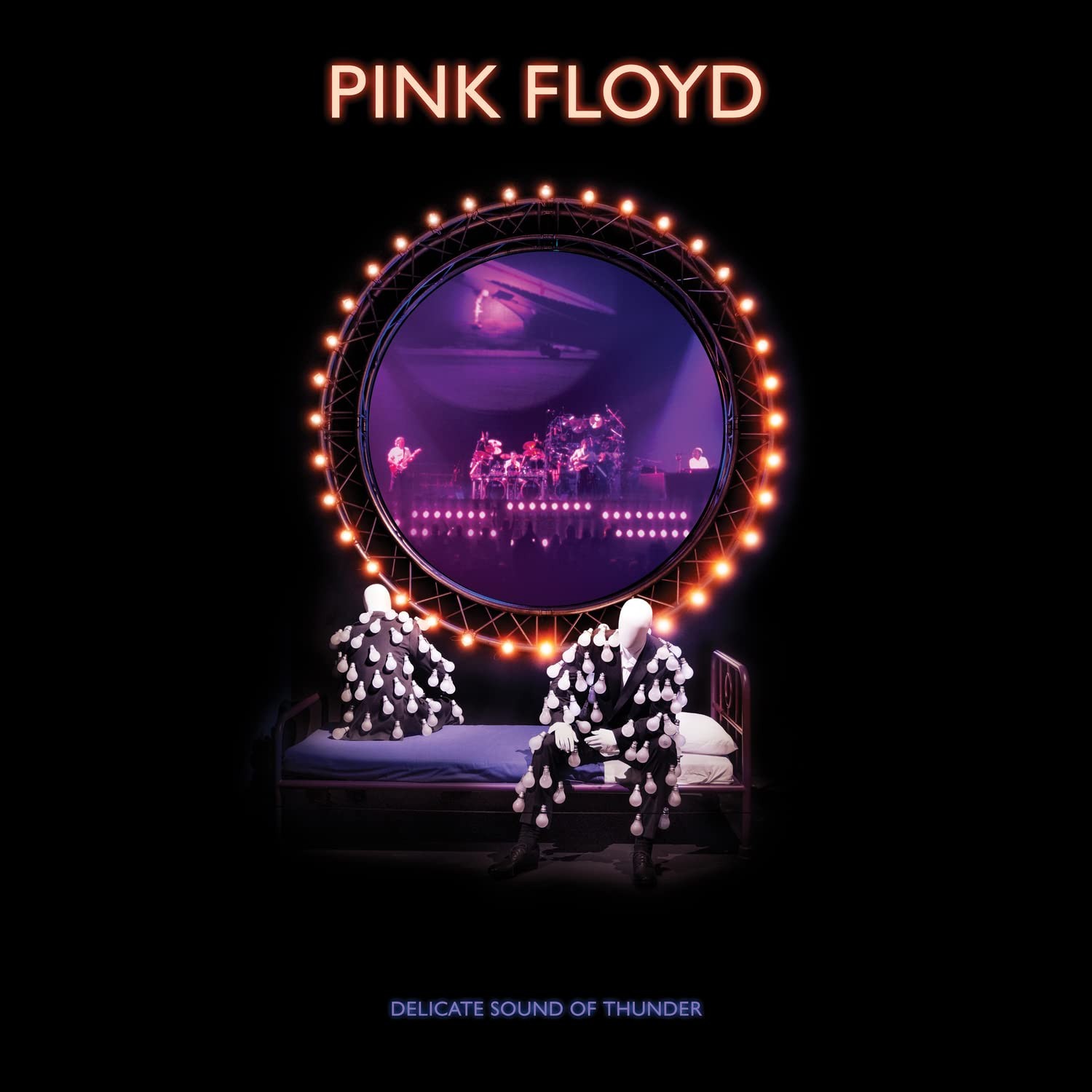 Pink Floyd Delicate Sound Of Thunder - Restored, Re Remixed  clean (Vinyl LP)