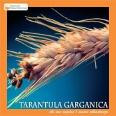 Tarantula Garganica - Chi Non Capisce L'amore Abbastanza - Cd
