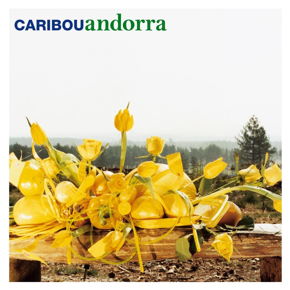 Caribou Andorra (Vinyl LP)