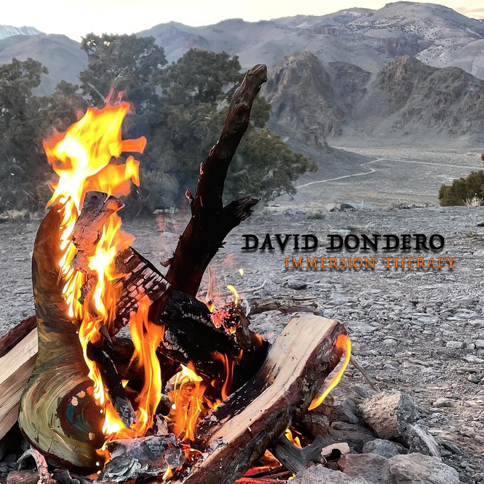 David Dondero Immersion Therapy (Vinyl LP)