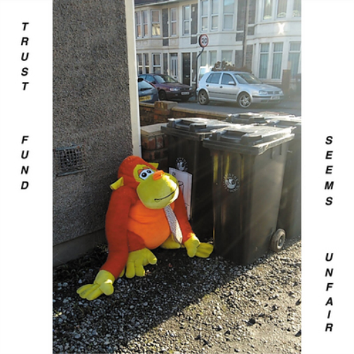 Trust Fund Seems Unfair (Vinyl LP) 12" Album