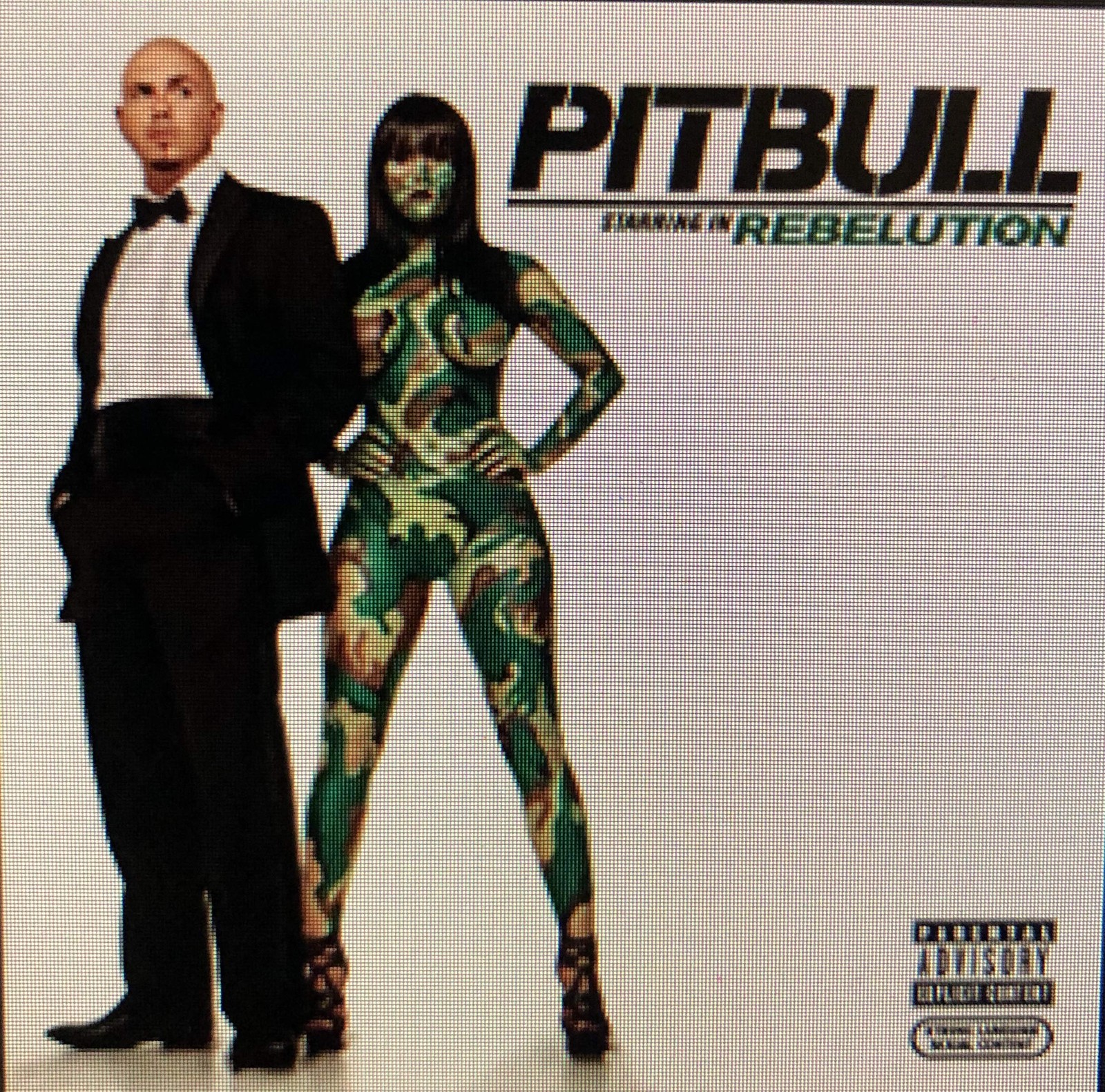 Pitbull Pitbull Starring In Rebelution  clean