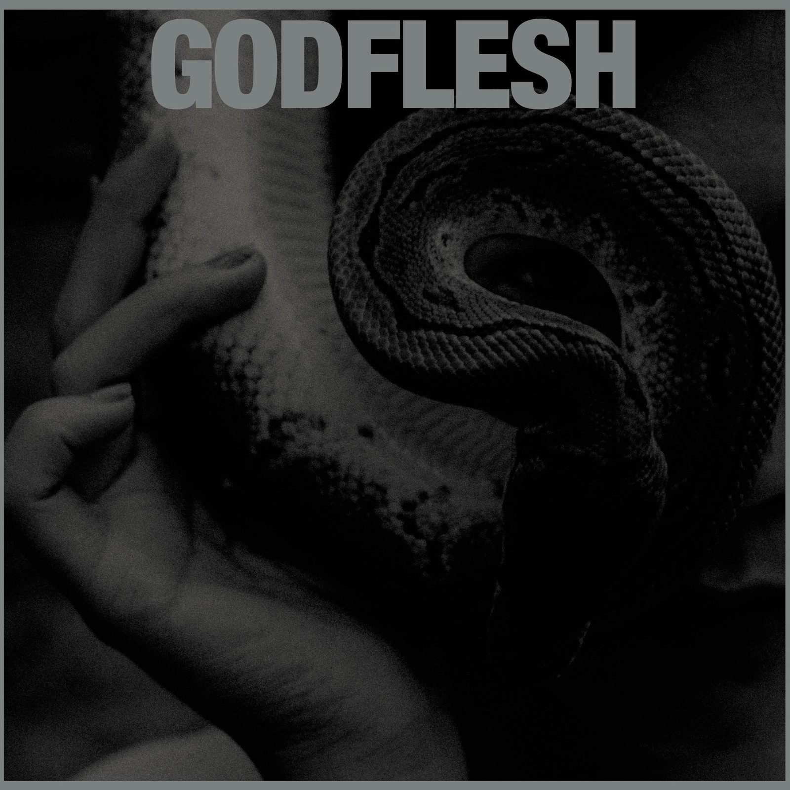Godflesh Purge (Vinyl LP) 12" Album